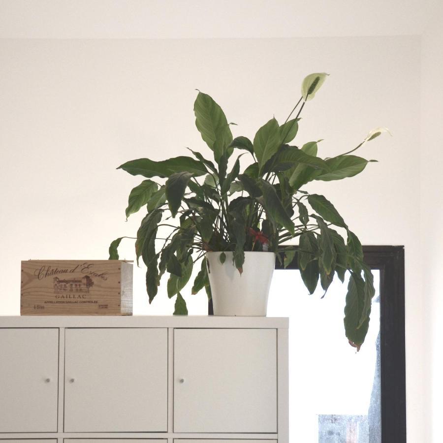 Plaisance Bouguenais - Appartement Nantes - Parking Gratuit Ngoại thất bức ảnh